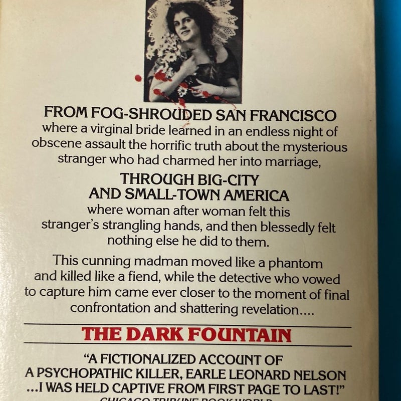 The Dark Fountain