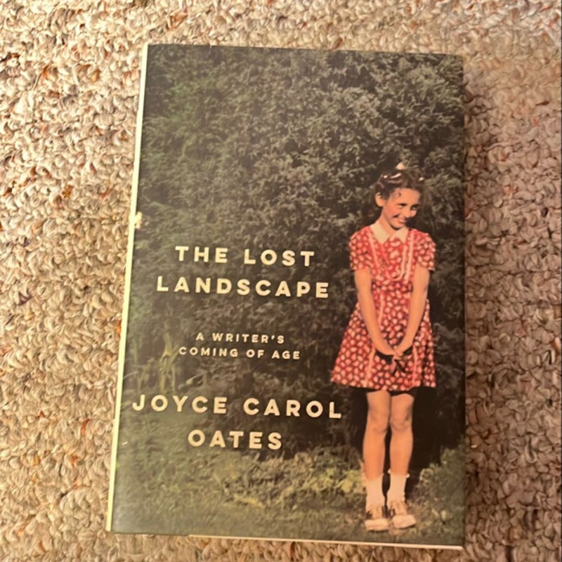 The Lost Landscape