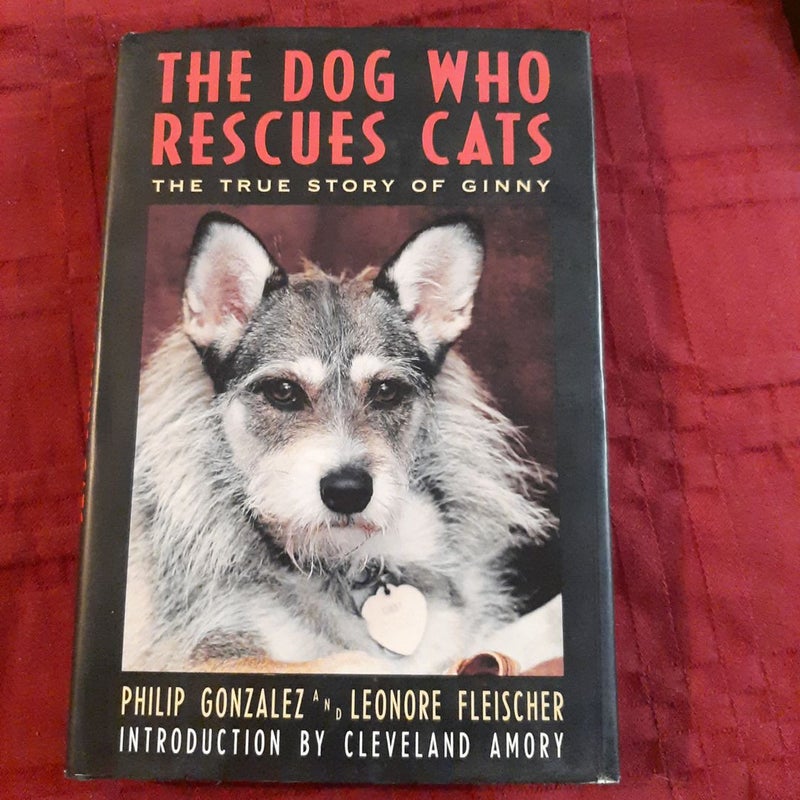 The Dog Who Rescues Cats