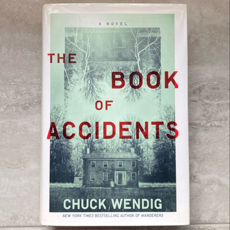 The Book of Accidents