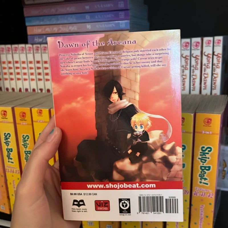 Dawn of the Arcana, Vol. 2