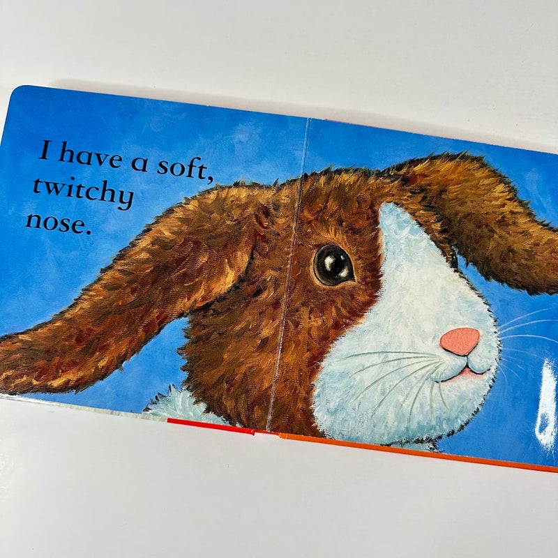 Touch the Bunny, Touch and Feel