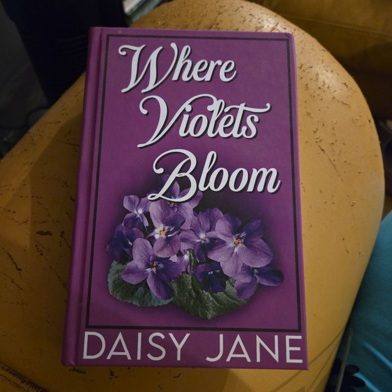 Where Violets Bloom