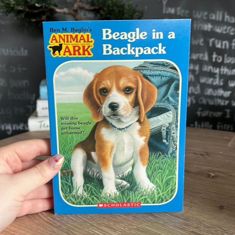 Beagle in a Backpack