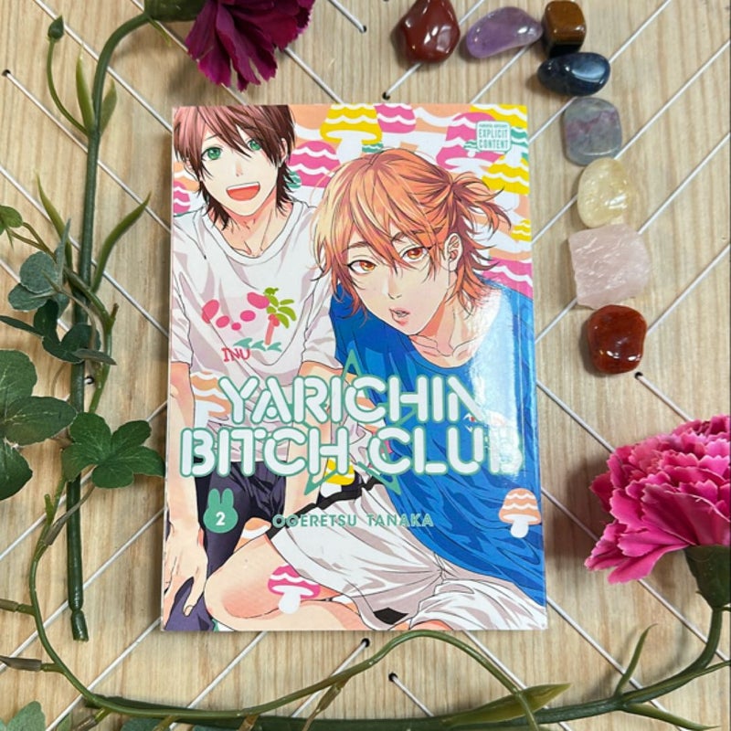 Yarichin Bitch Club, Vol. 2