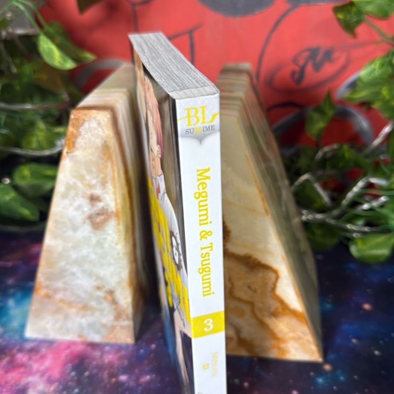 Megumi and Tsugumi, Vol. 3