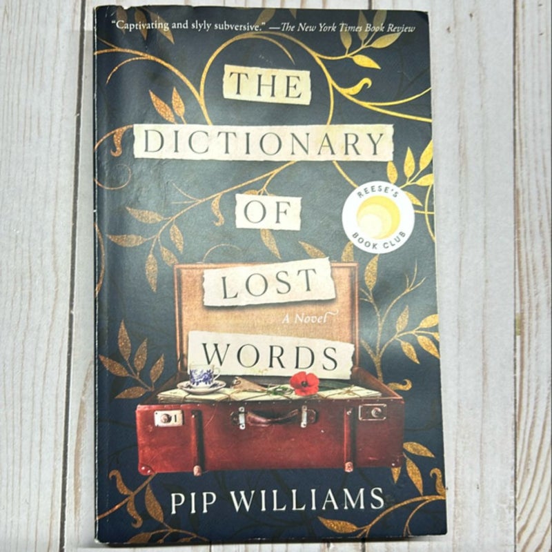 The Dictionary of Lost Words