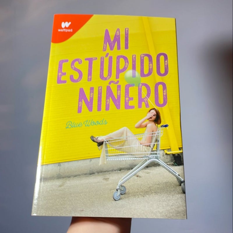 Mi Estúpido niñero / the Stupid End of Me