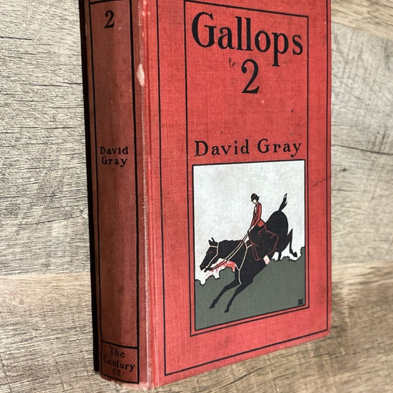 Old Book Gallops 2 by David Gray 1903