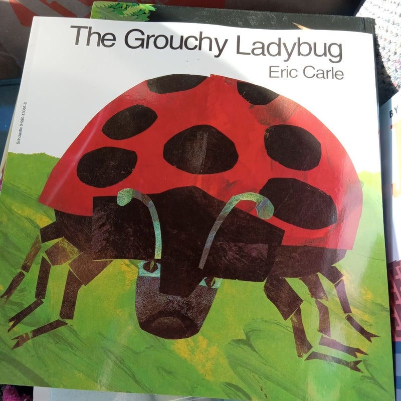 The Grouchy Ladybug