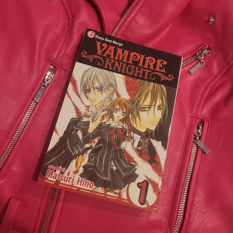 Vampire Knight, Vol. 1