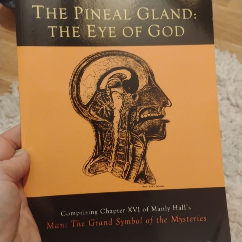 The Pineal Gland The Eye of God