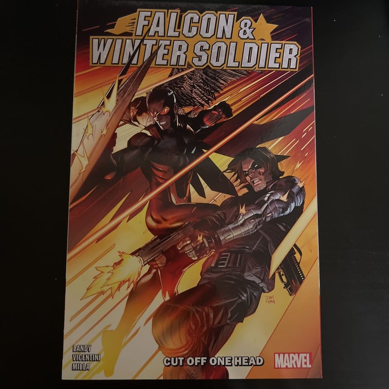 Falcon and Winter Soldier Vol. 1