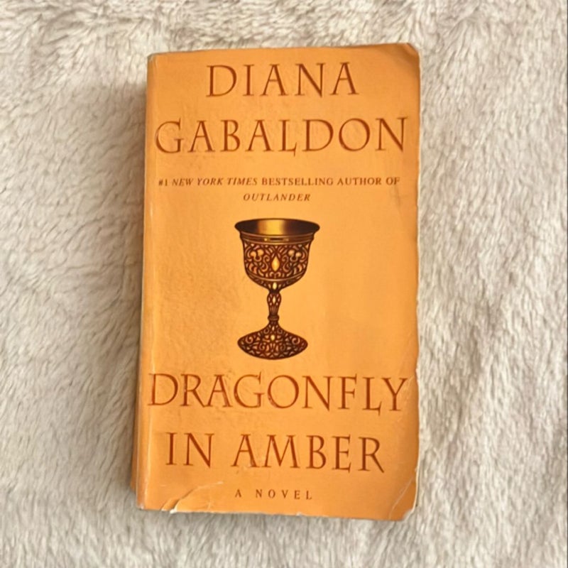 Dragonfly in Amber