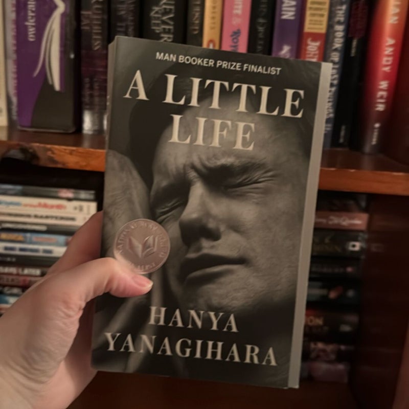 A Little Life
