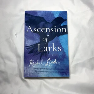 Ascension of Larks