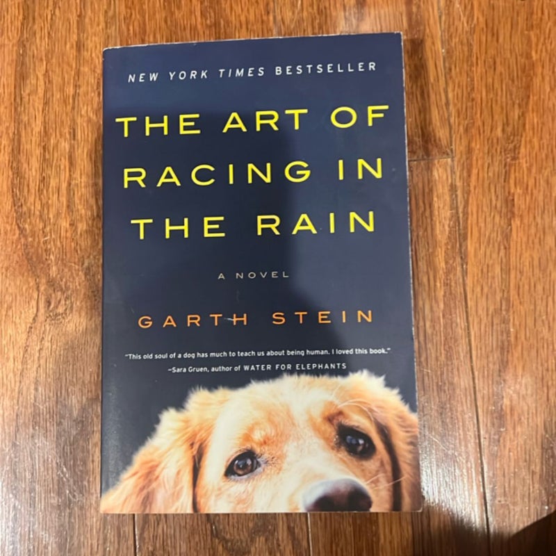 The Art of Racing in the Rain