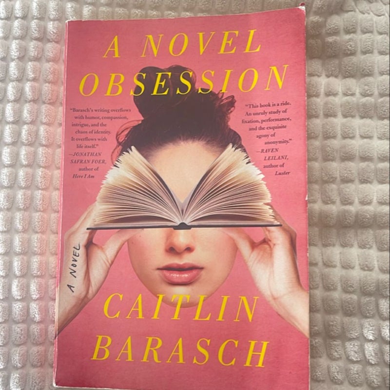 A Novel Obsession