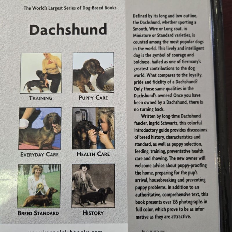 Dachshund