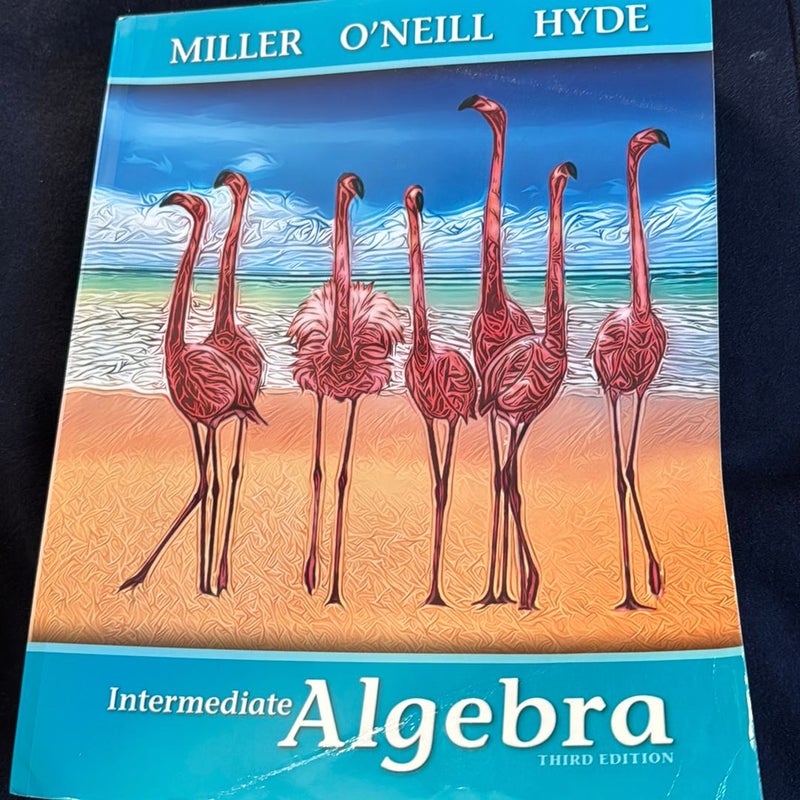 Beginning Algebra