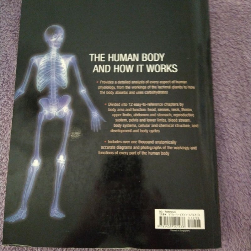 How the Body Works