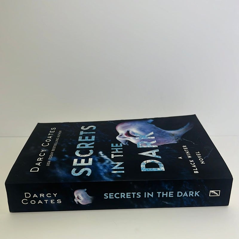 Secrets in the Dark: (A Black Winter Series, Book 2) 