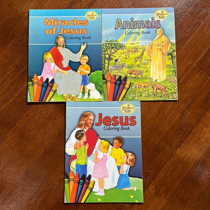 Bundle of Catholic Homeschool Workbooks 