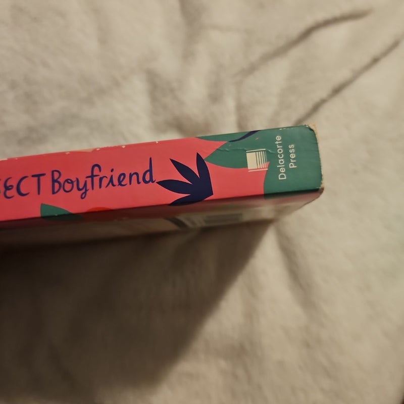 Picture-Perfect Boyfriend