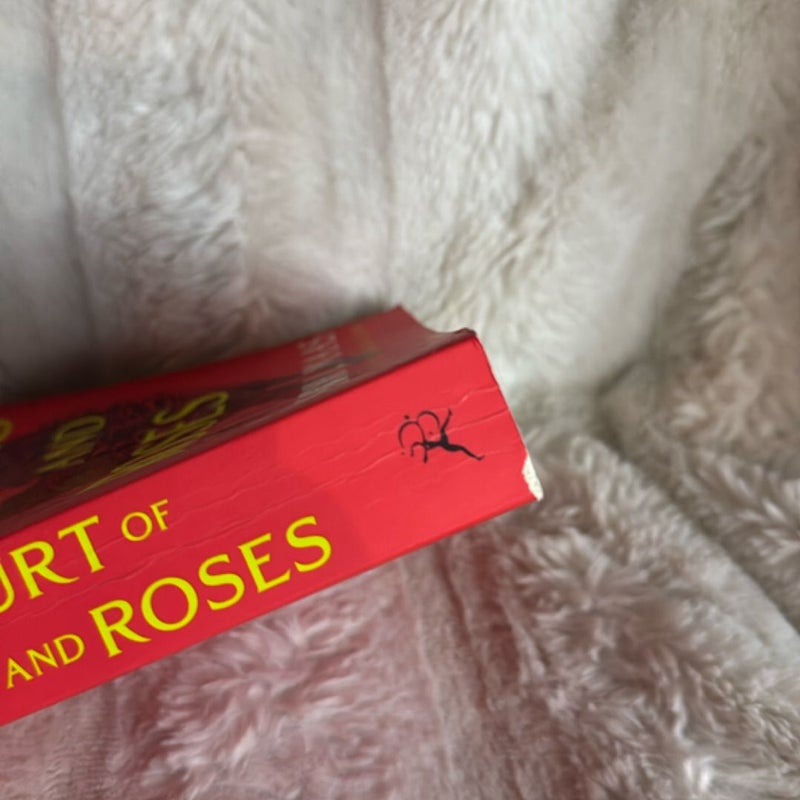 A Court of Thorns and Roses