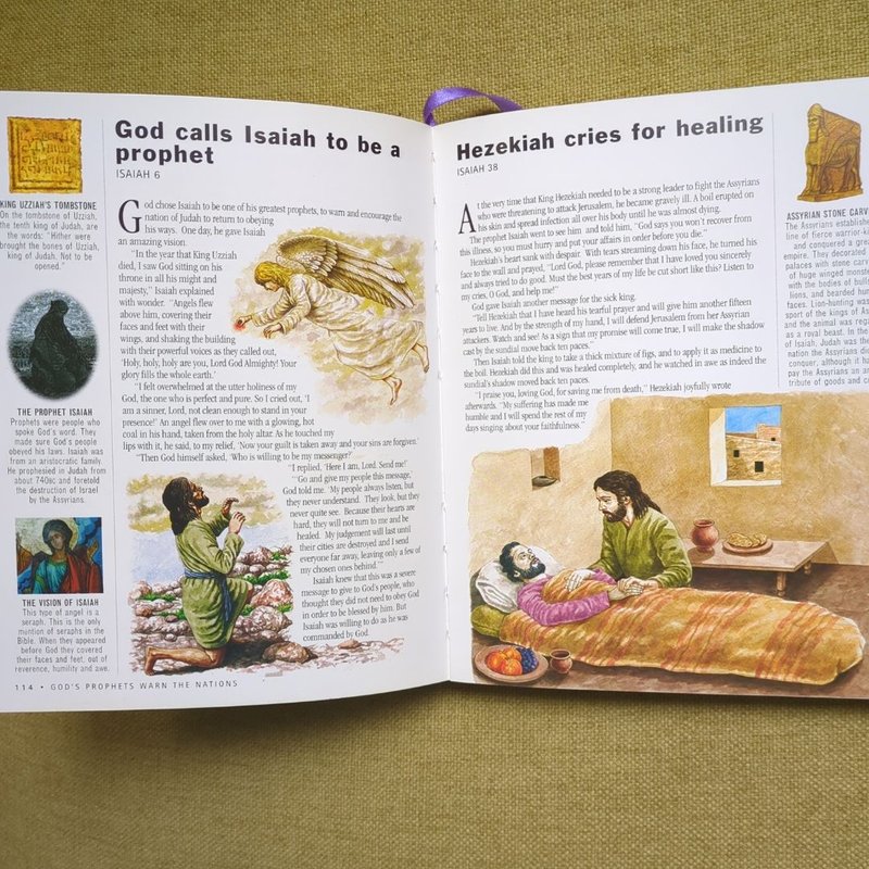 Illustrated Family Bible Stories