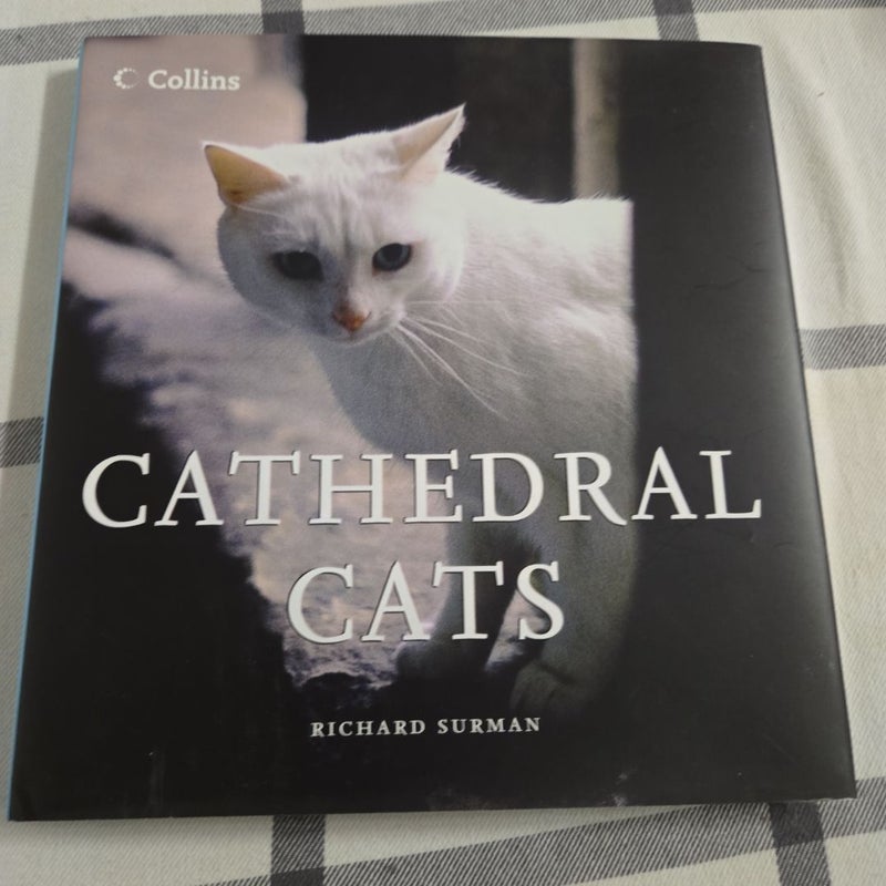 Cathedral Cats