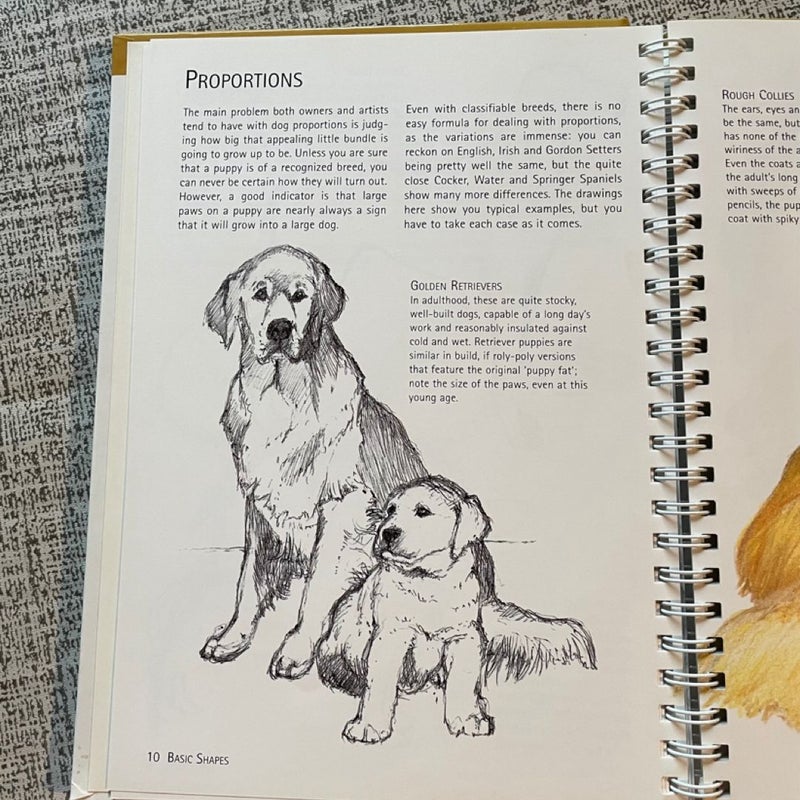 Dogs, How to Draw Them