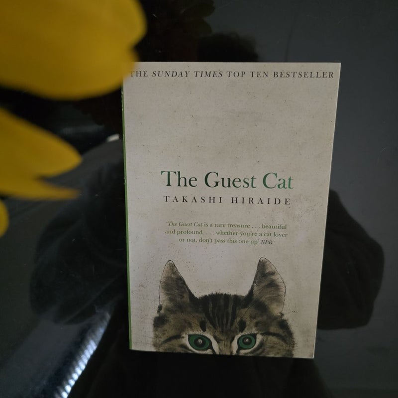 The Guest Cat