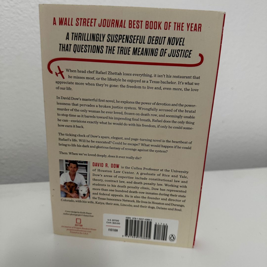 Confessions of an Innocent Man by David R. Dow, Paperback | Pangobooks