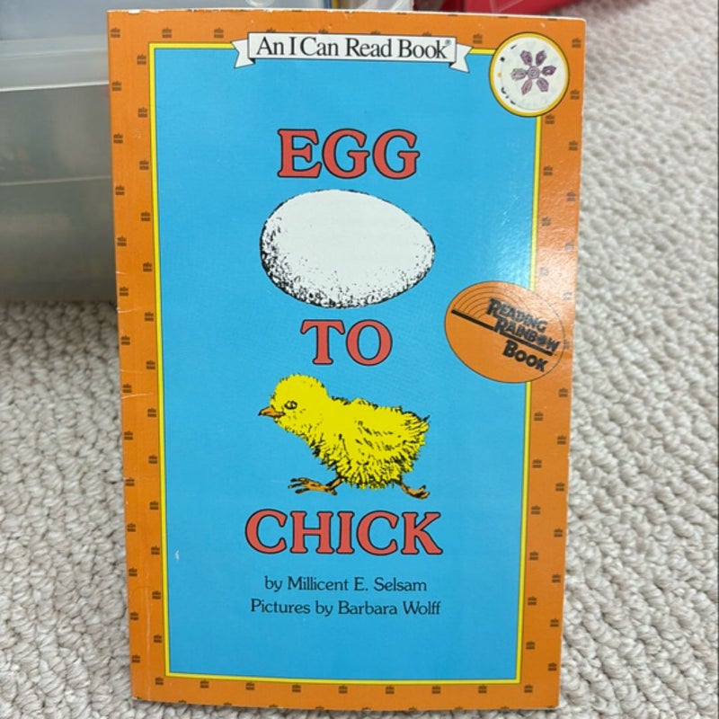 Egg to Chick