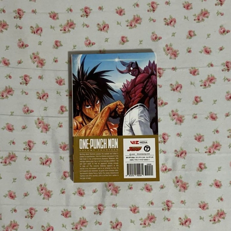 One-Punch Man, Vol. 14