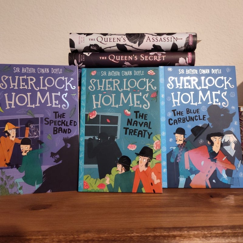 Mystery Book Bundle 