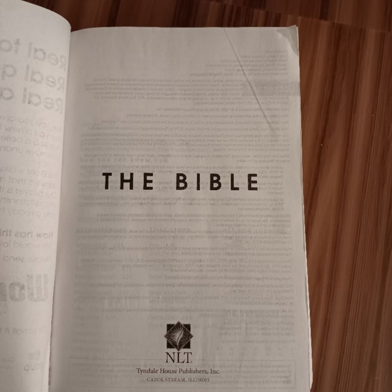 New Believer's Bible Compact