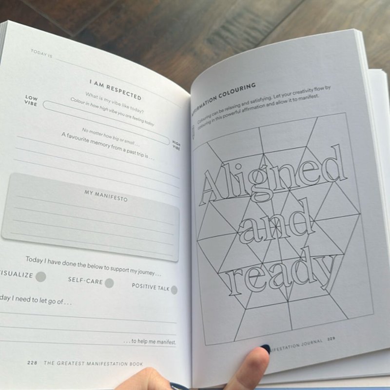 The Greatest Manifestation Book (Is the One Written by You)
