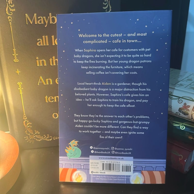 The Baby Dragon Cafe (the Baby Dragon Series, Book 1)