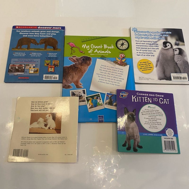 Baby Animal Books Bundle for Young Kids