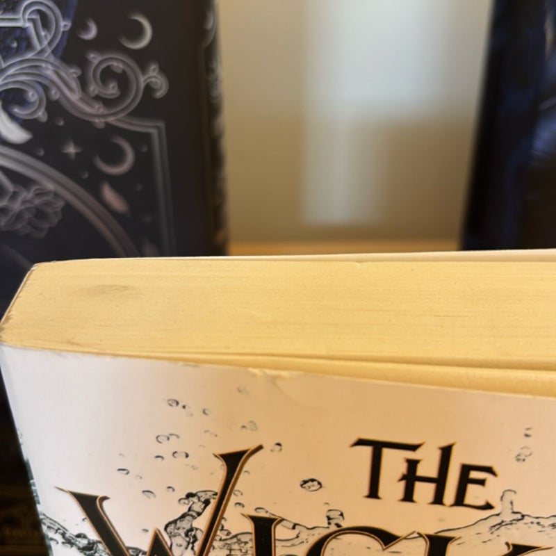 The Wicked King