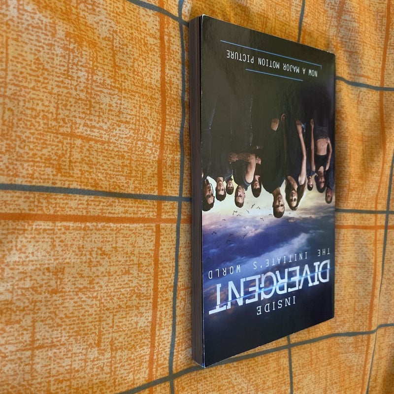 Inside Divergent: the Initiate's World
