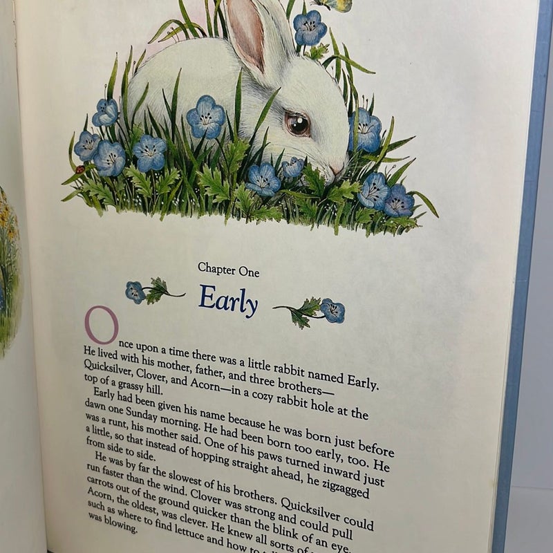 The Story of the Easter Bunny (A Golden Book) 1990