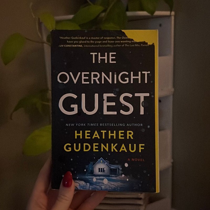 The Overnight Guest