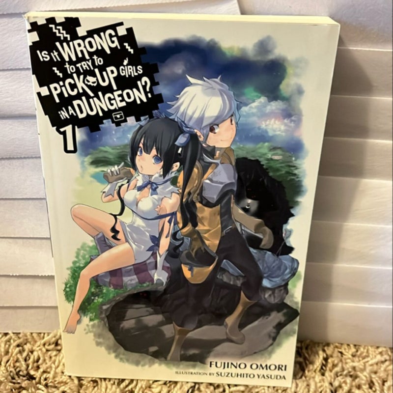 Is It Wrong to Try to Pick up Girls in a Dungeon?, Vol. 1 (light Novel)