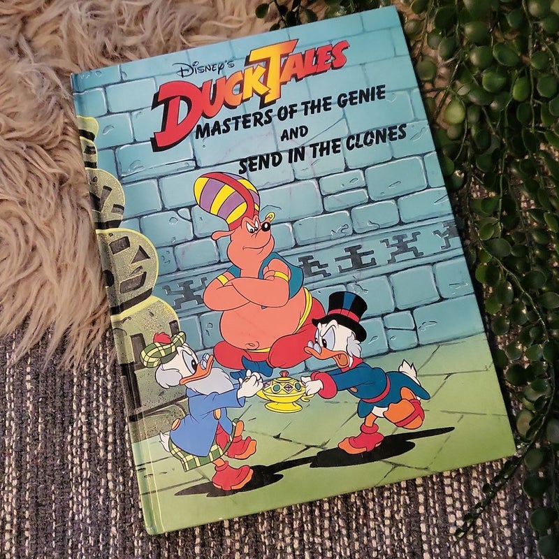 Duck Tales twin books bundle