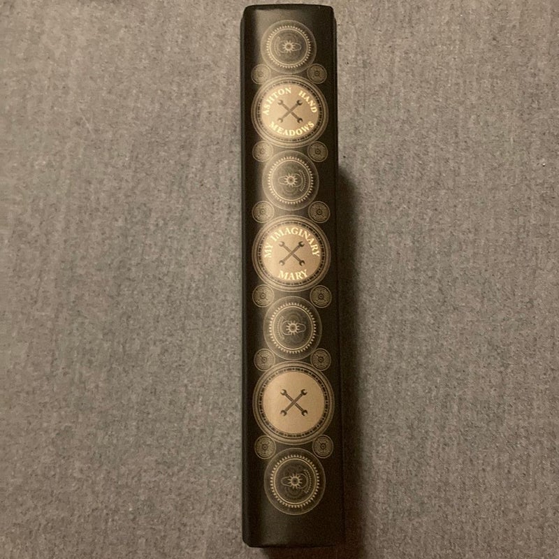 My Imaginary Mary SIGNED LitJoy Edition