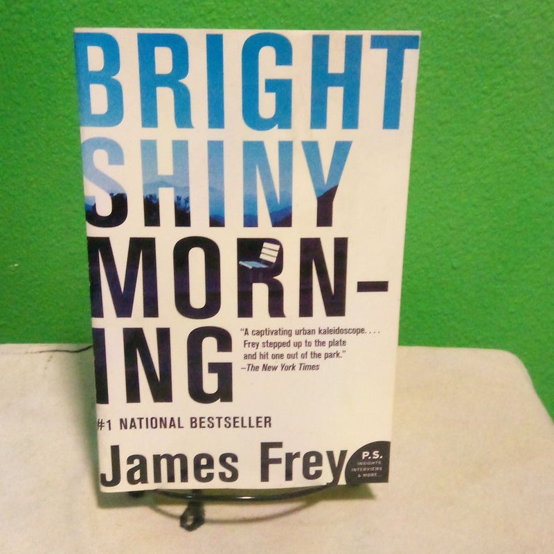 Bright Shiny Morning - First Harper Perennial Edition