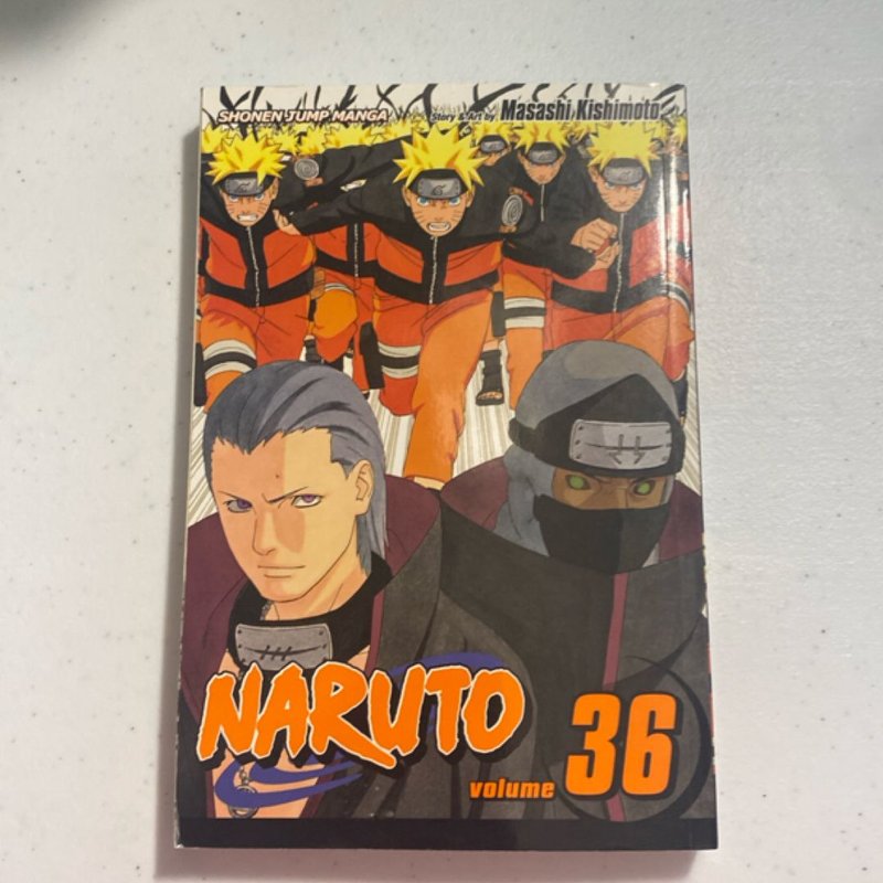 Naruto, Vol. 36